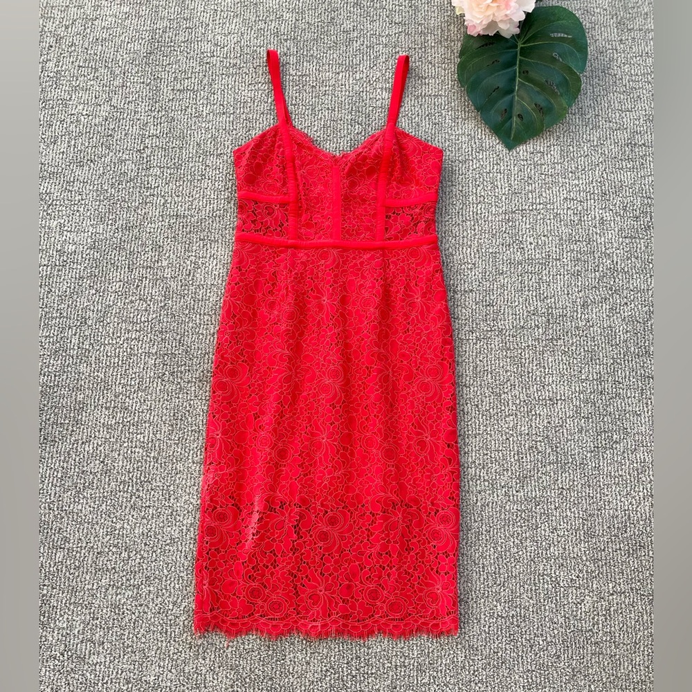 Express Red Lace Midi Dress